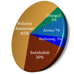 grafikon grafikon