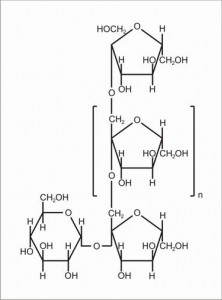 inulin5