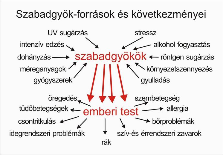 szabadgyok5